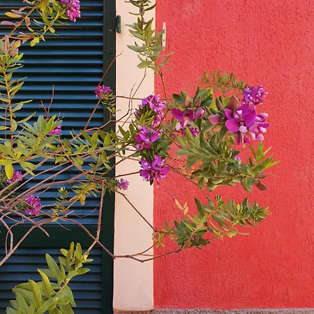 Hotel Boutique Novecento