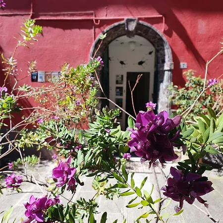 Novecento Hotel