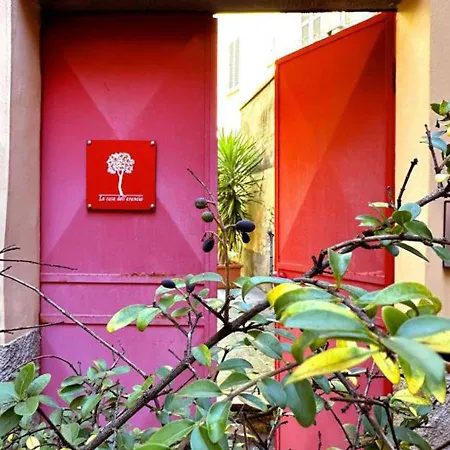 Boutique Novecento فندق