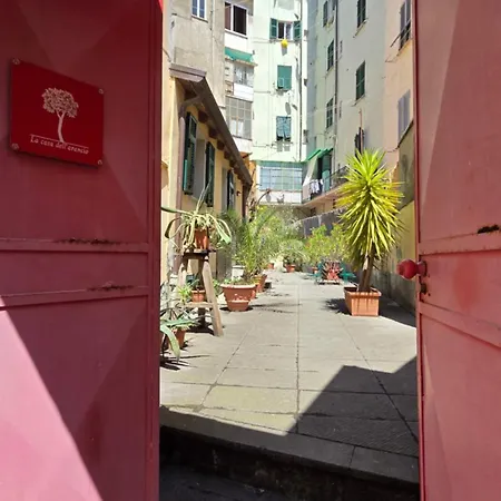 Boutique Novecento فندق