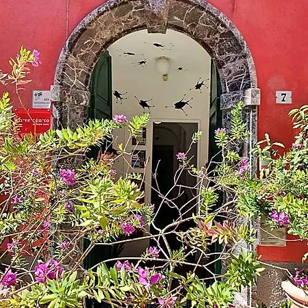 Boutique Novecento