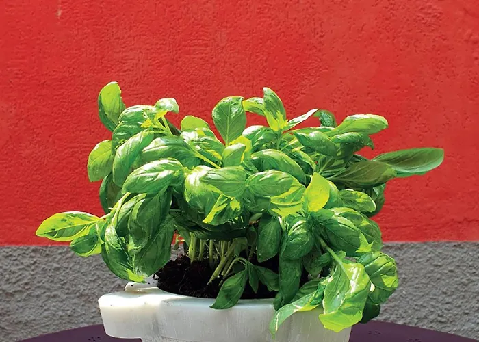 Ξενοδοχείο Boutique Novecento Λα Σπέτσια